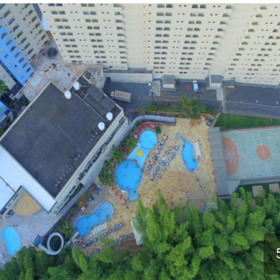 Golden Dolphin Grand Excelente *
