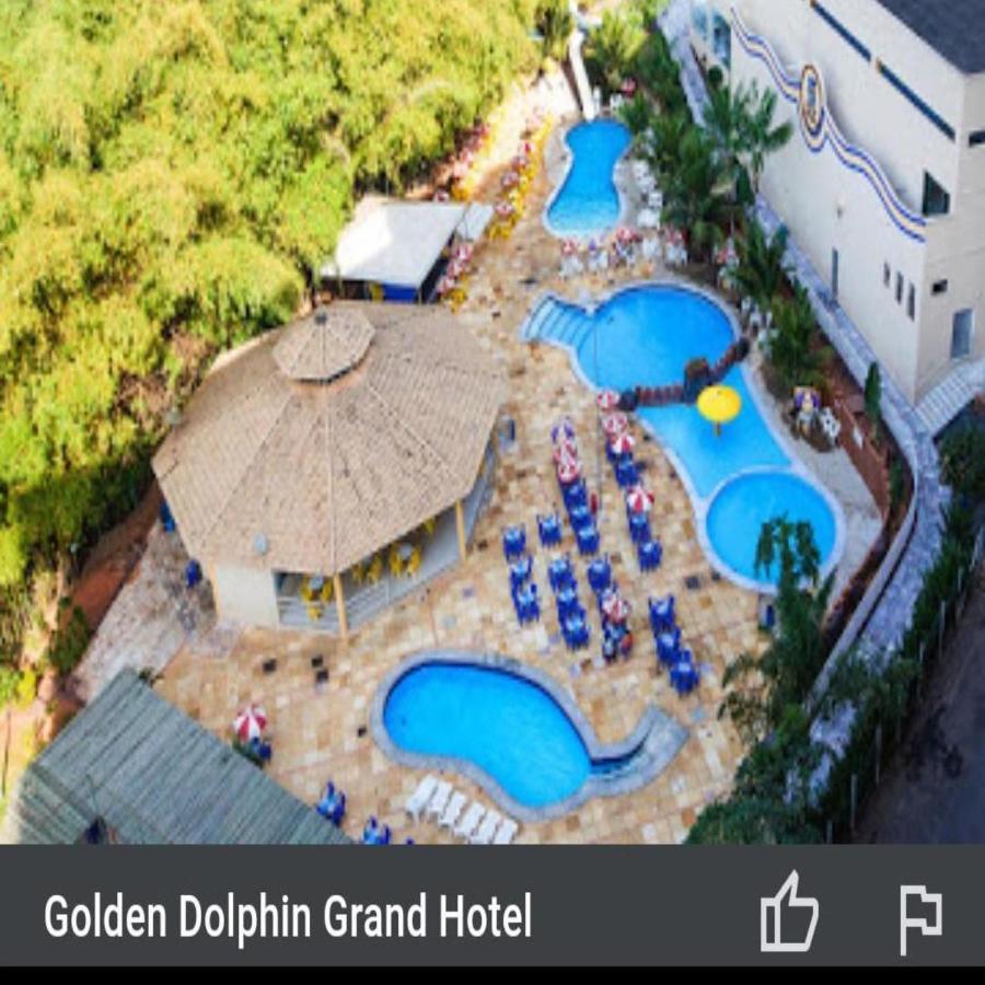 Golden Dolphin Grand Excelente